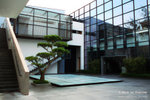 IMG_7846 copy