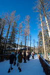 aNE_0541