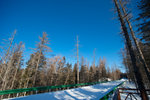 aNE_0545