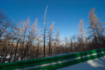 aNE_0566