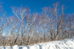 aNE_0570