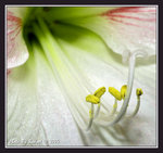 _DSC3690______