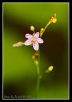 _DSC3719______