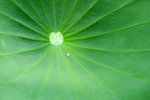 image0002
