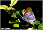 _DSC1223 copy1