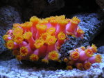 P1150389