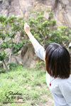 IMG_9854e