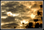 City034