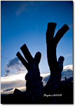 WKS-20081001