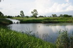 IMG_8712