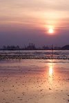 IMG_8748