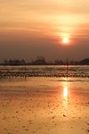 IMG_8748A