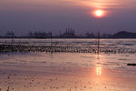 IMG_8750B