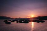 IMG_8973