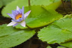 IMG_9056