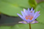 IMG_9085