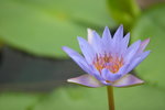 IMG_9086