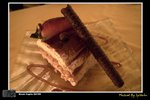 RIMG0459