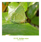 DSCN1479
