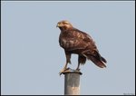 IMG_7677
