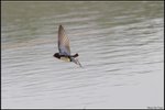 IMG_2764