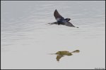 IMG_2766