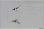 IMG_2776