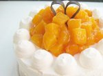 Snowy Mango