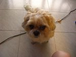 
10����TOBY
