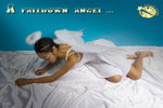 800angelfd001