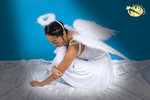 800angelfd007