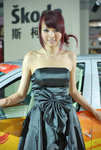 SZAutoShow146(R)