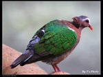 IMG_5017
