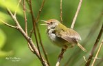 IMG_5179
