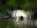 IMG_0003