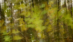 DSC_9076a