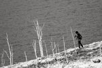 DSC_0408a