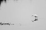 _DSC0416a