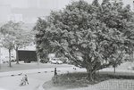 F1410020 (F4+�b, S60, green filter)