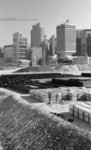 img007 (F11, S250)