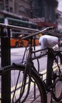 img043 (2400dpi)