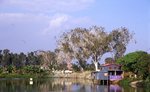img053 (F5.6+�b, S250)