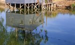 img054 (F5.6+�b, S125)