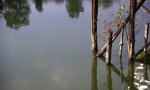 img055 (F2.8+�b, S500)