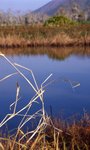 img057 (F8, S125)