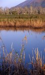 img059 (F4+�b, S250)