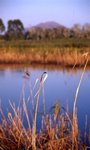 img060 (F2.8+�b, S500)