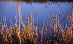 img061 (F2.8+�b, S500)