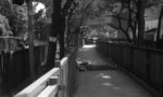 img067 (F11, S125, 6M)