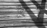img111